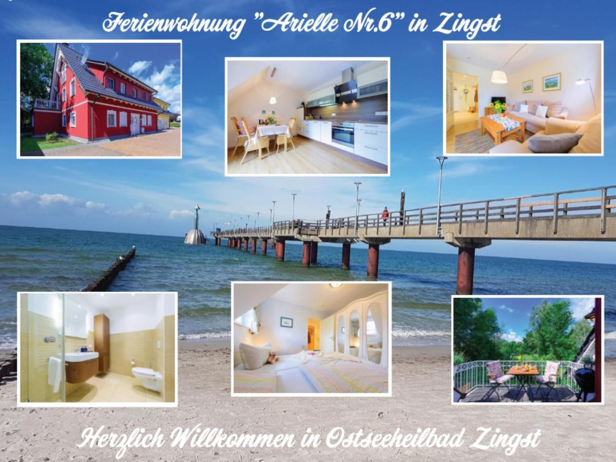 Appartement Arielle Nr. 6 à Zingst Extérieur photo